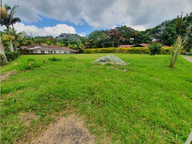 place photo 52