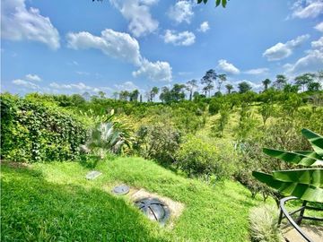 place photo 67