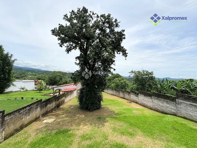place photo 43