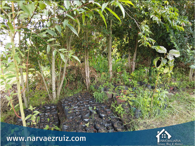 place photo 47