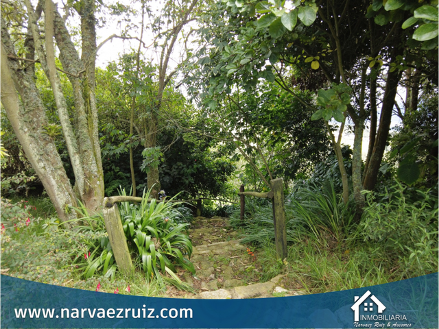 place photo 44