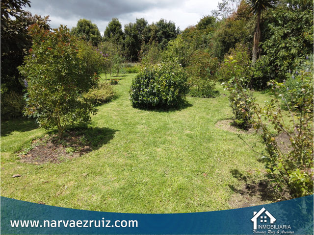 place photo 52