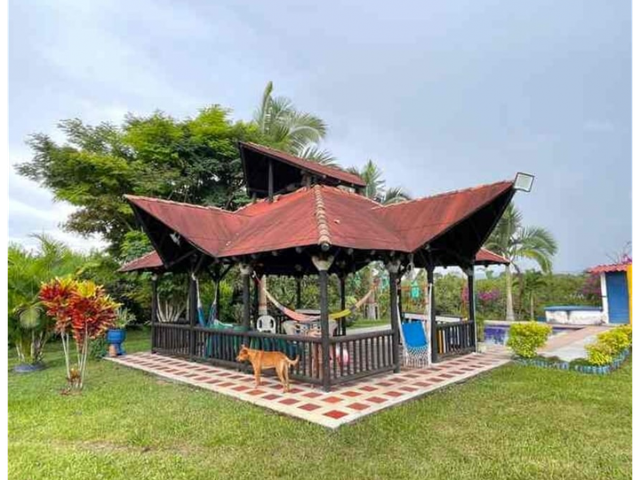 place photo 16