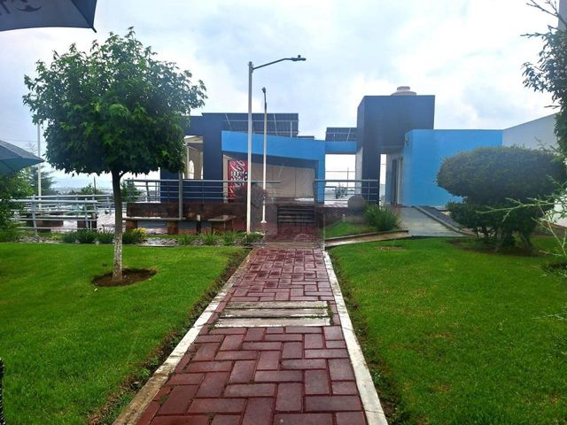 place photo 24