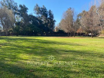 place photo 21