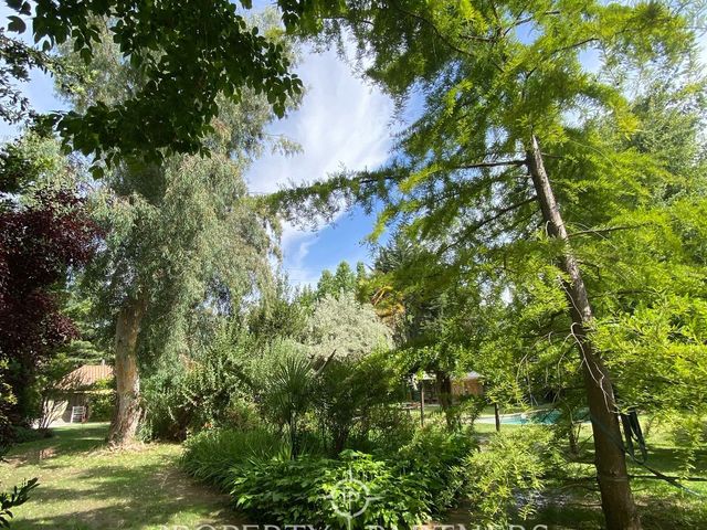 place photo 48