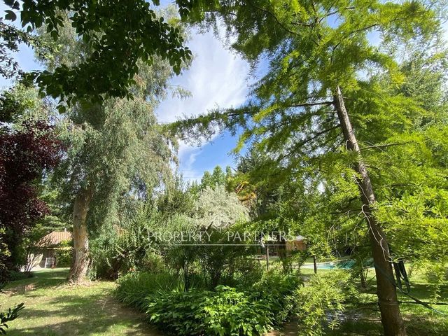 place photo 48