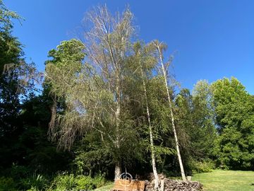 place photo 41