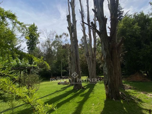 place photo 47