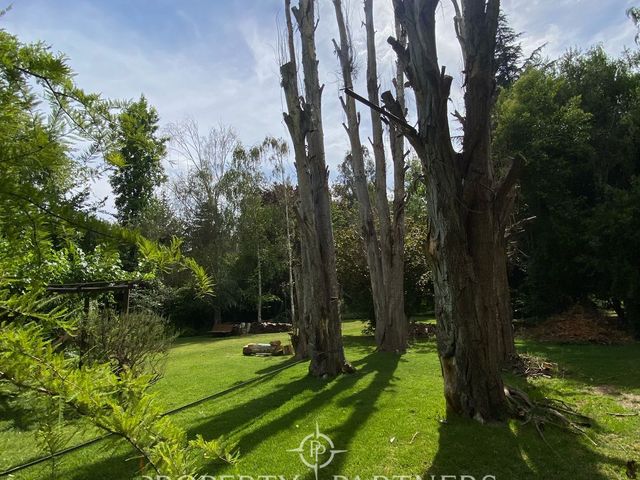 place photo 47
