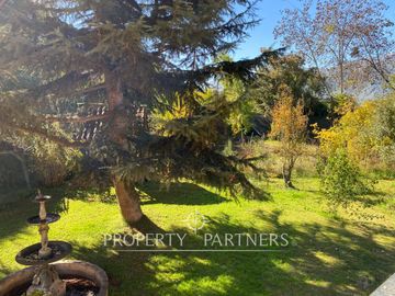place photo 39