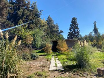place photo 47