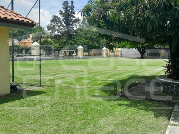 place photo 38