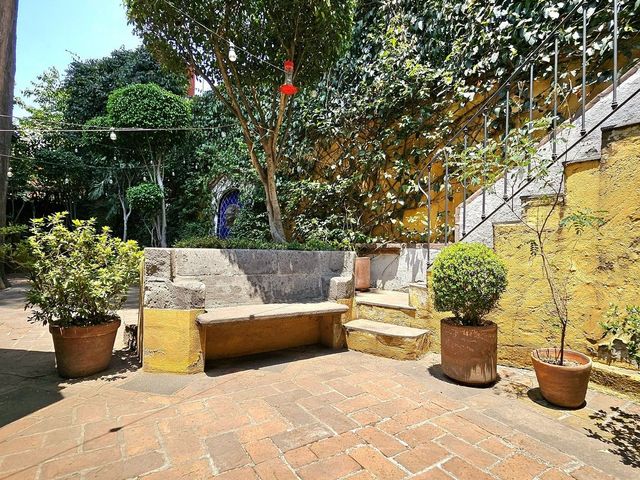 place photo 14