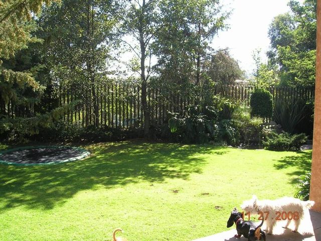 place photo 22