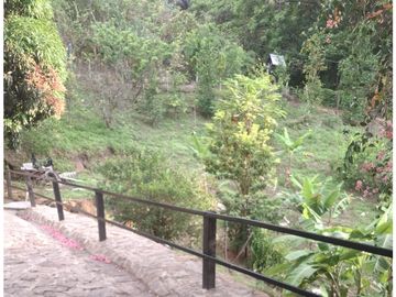 place photo 37