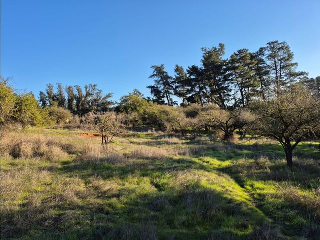 place photo 25