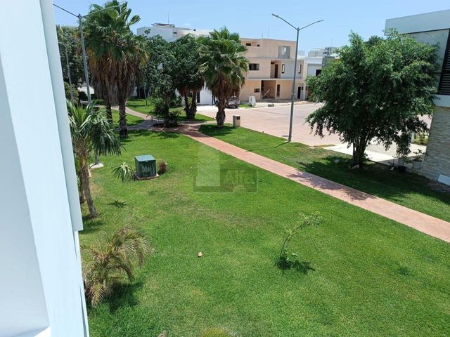 place photo 68