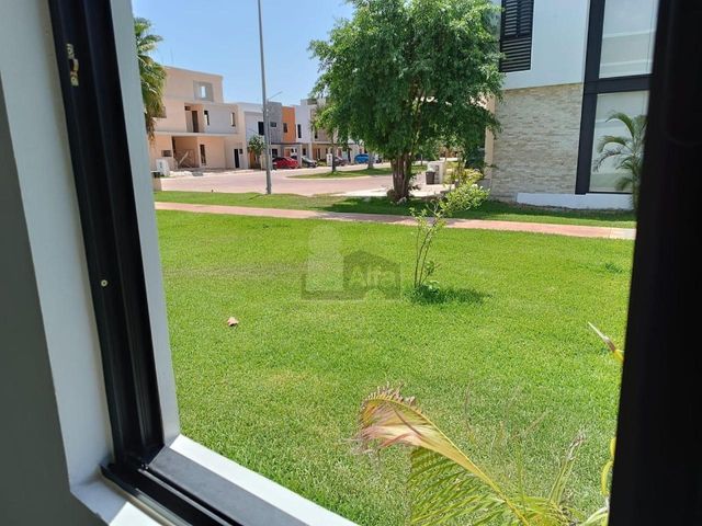 place photo 37