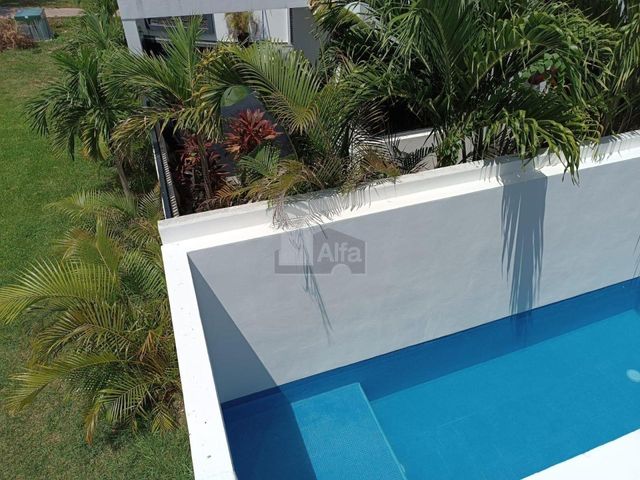 place photo 71