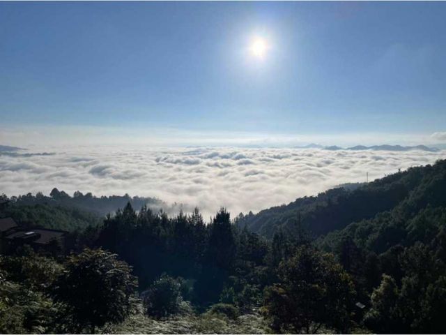 place photo 46