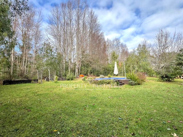 place photo 38