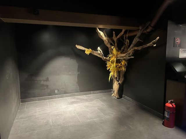 place photo 31