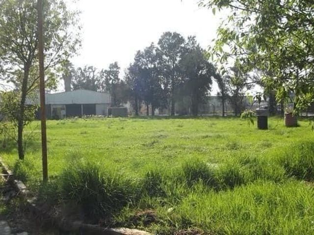 place photo 11