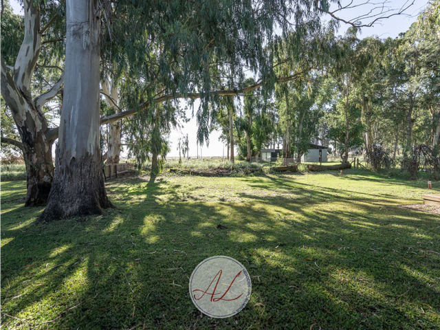 place photo 31