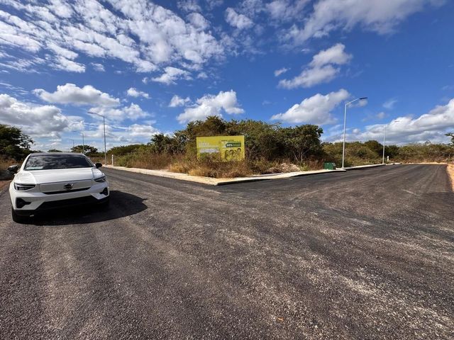 place photo 20