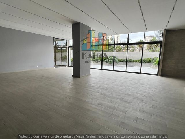 place photo 50