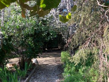 place photo 26