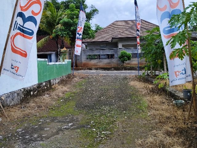 place photo 3