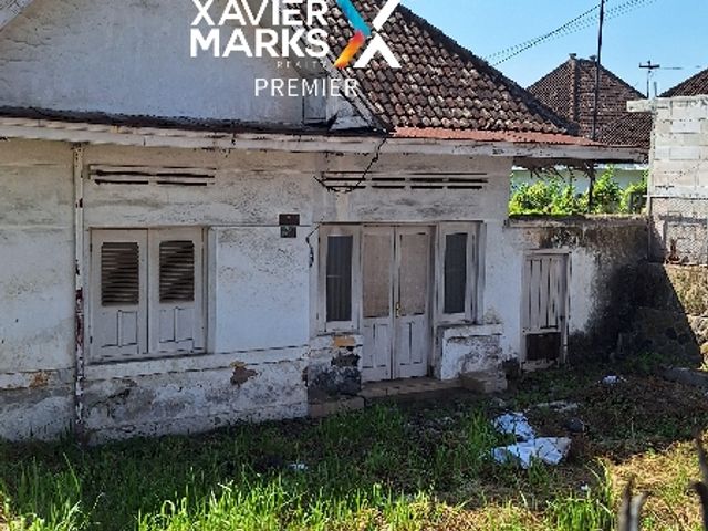 place photo 11