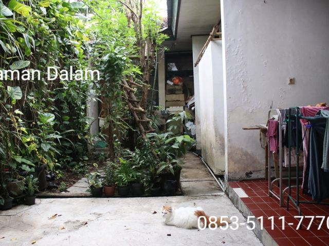place photo 7