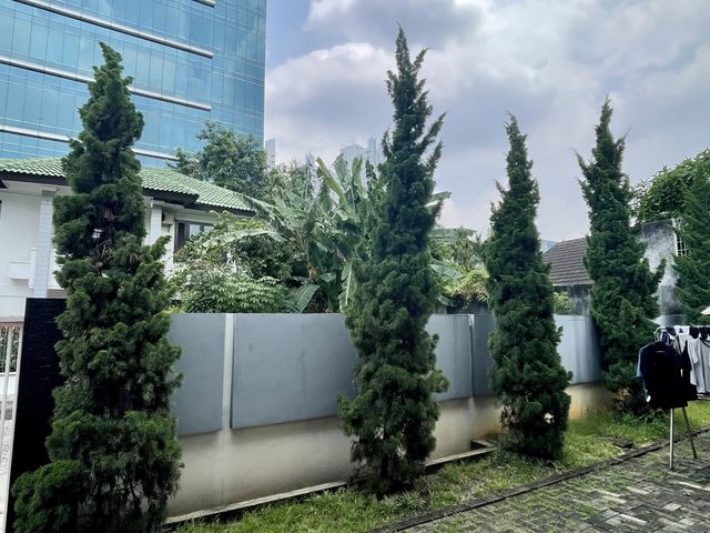place photo 18