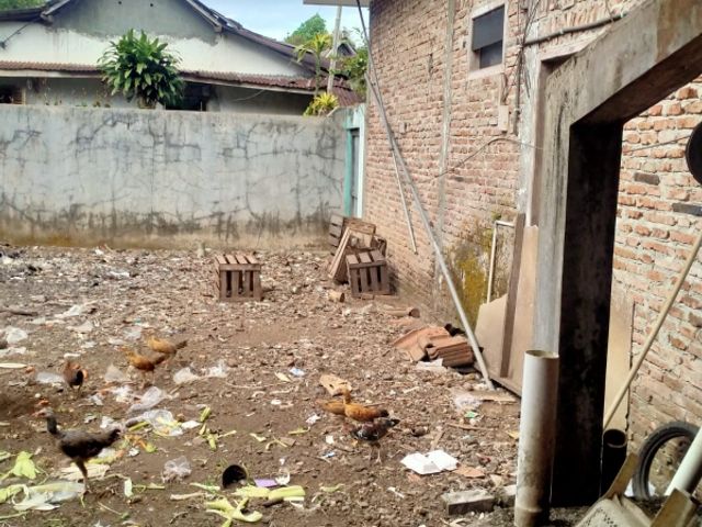 place photo 16