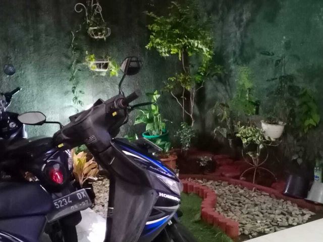 place photo 17