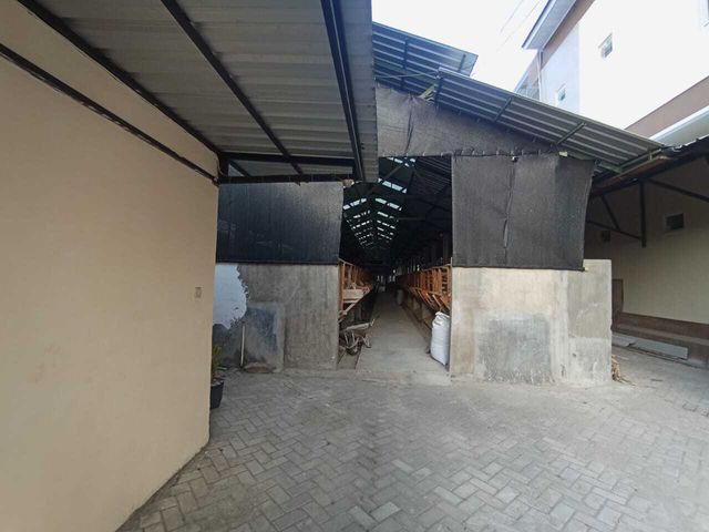 place photo 42