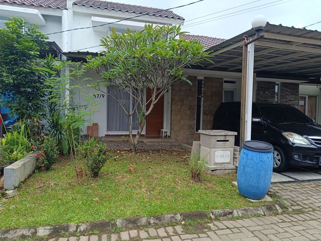 place photo 12
