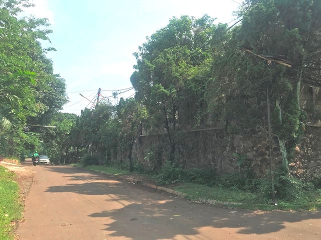 place photo 37