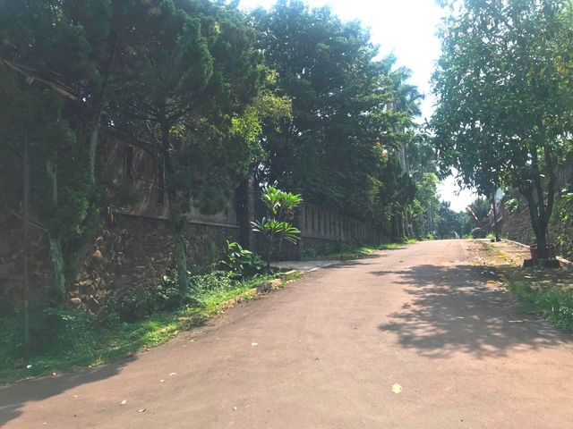 place photo 36