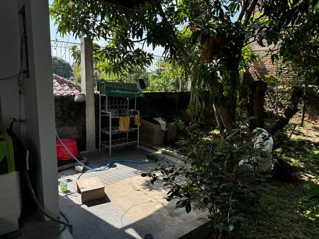 place photo 22
