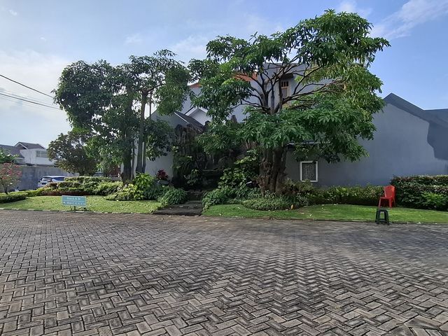 place photo 10