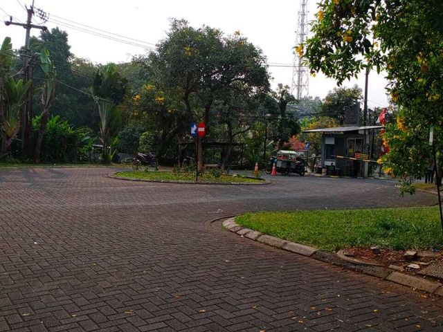 place photo 15