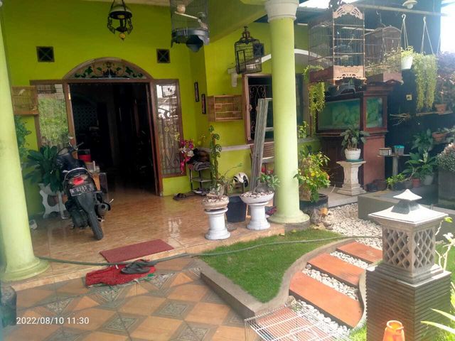 place photo 12