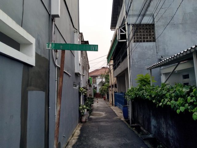 place photo 9