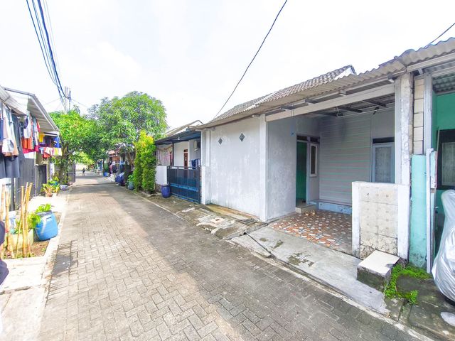 place photo 17