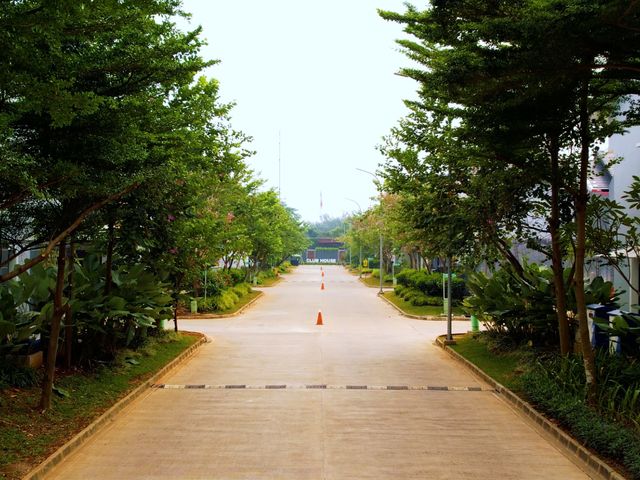 place photo 20