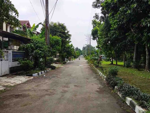 place photo 26